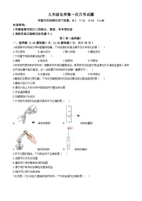 山东省聊城市冠县育才双语学校2024-2025学年九年级上学期第一次月考化学试题(无答案)