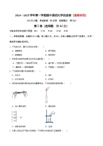 2024—2025学年海南省九年级（上）期中测试化学优选卷