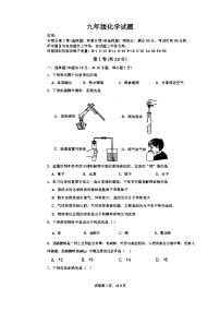 山东省青岛市崂山区实验学校2024--2025学年九年级上学期10月考化学试题