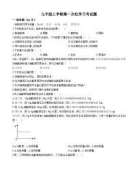 山东省泰安市宁阳县第三中学2024--2025学年九年级上学期第一次月考化学试题(无答案)