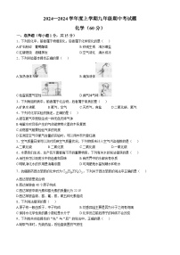 甘肃省陇南市康县2024-2025学年九年级上学期10月期中考试化学试题(无答案)