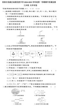 贵州省贵阳市花溪区高坡民族中学2024--2025学年九年级上学期10月期中化学试题