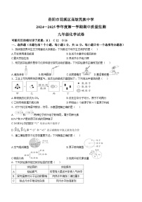 贵州省贵阳市花溪区高坡民族中学2024--2025学年九年级上学期10月期中化学试题