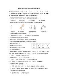 湖北省十堰市房县2024-2025学年九年级上学期化学期中练习题五