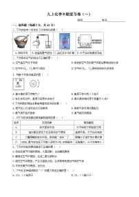 重庆市杨家坪中学2024--2025学年九年级上学期期中检测化学试卷(无答案)