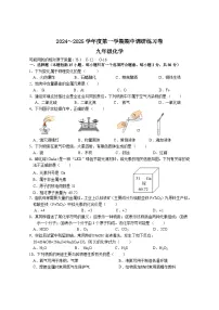 江苏省南京市联合体2024-2025学年九年级上学期期中调研化学练习卷
