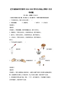 辽宁省铁岭市开原市2024-2025学年九年级上学期9月月考化学试题（解析版）