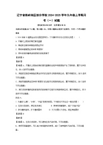 辽宁省铁岭地区部分学校2024-2025学年九年级上学期月考（一）化学试题（解析版）