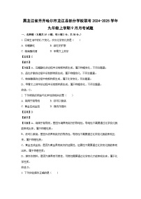 黑龙江省齐齐哈尔市龙江县部分学校联考2024-2025学年九年级上学期9月月考化学试题（解析版）