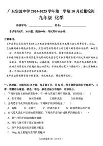 广东省实验中学2024--2025学年九年级上学期10月份月考化学试卷