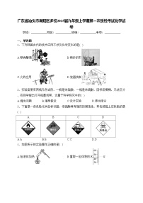 广东省汕头市潮阳区多校2025届九年级上学期第一次质检考试化学试卷(含答案)