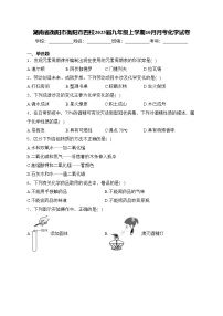 湖南省衡阳市衡阳市四校2025届九年级上学期10月月考化学试卷(含答案)