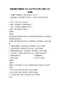 安徽省亳州市蒙城县2024-2025学年九年级上学期9月月考化学试题（解析版）