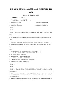 甘肃省武威地区2024-2025学年九年级上学期九月质量检测化学试题（解析版）