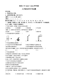 黑龙江省海伦市第十中学2023-2024学年九年级上学期第一次月考化学试题(无答案)