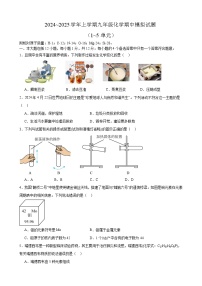 安徽省合肥市望龙中学2024~2025学年九年级上学期化学期中模拟试题