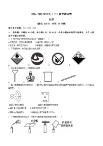 福建省厦门市槟榔中学2024-2025学年九年级上学期期中化学试题(无答案)