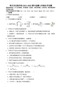 山东省枣庄市实验学校2024-2025学年九年级上学期期中监测化学试题