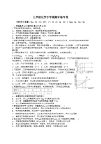 广东省汕头市2024-2025学年九年级下学期化学期末练习卷（内附答案和答题卷）