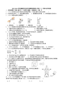 湖南省长沙市长郡教育集团2023-2024学年九年级上学期期中化学试卷