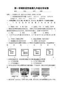 江苏省镇江市实验学校2023-2024学年九年级上学期期末考试化学试卷