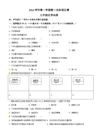 上海市杨思中学2024-2025学年九年级上学期期中化学试卷