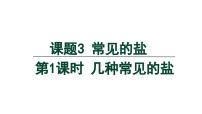 人教版（2024）九年级下册（2024）课题3 常见的盐教学演示ppt课件