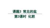 化学九年级下册（2024）课题3 常见的盐备课课件ppt