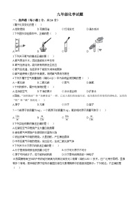 四川省广安市邻水县牟家镇初级中学2024-2025学年九年级上学期期中化学试题(无答案)