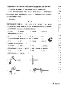 天津市当城中学2024-2025学年九年级上学期期中考试化学试题