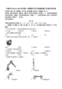 天津市当城中学2024-2025学年九年级上学期期中考试化学试题(无答案)