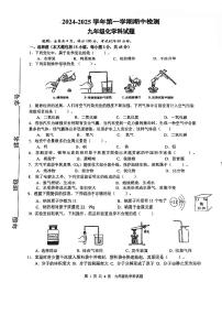 广东省肇庆市地质中学2024-2025学年九年级上学期期中考试化学试题