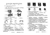 广东省肇庆市颂德学校2024-2025学年九年级上学期期中考试化学试题