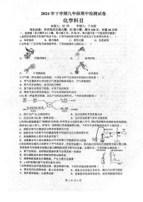 湖南省长沙市雅礼集团2024-2025学年九年级上学期11月期中考试化学试题