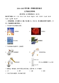 山东省济南市山东师范大学第二附属中学2024-2025学年九年级上学期第一次月考化学试题