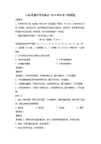 山东省临沂市莒南县2024年中考一模化学试卷(解析版)
