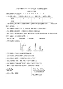 贵州省黔东南州从江县宰便中学2024-2025学年九年级上学期期中质量监测化学试卷