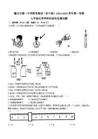 广东省肇庆市第一中学初中部2024-2025学年九年级上学期期中考试化学试题(无答案)