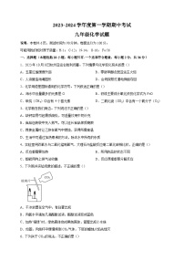 江苏省徐州市邳州市2023-2024学年九年级上学期期中抽测化学试卷（含答案解析）