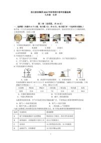 四川省成都市棕北中学2024-2025学年九年级上学期11月期中考试化学试题