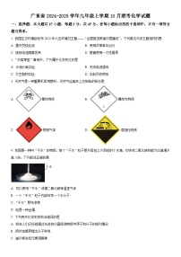 广东省2024-2025学年九年级上学期10月联考化学试题