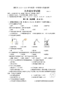 江苏省常州市溧阳市2024-2025学年九年级上学期11月期中考试化学试题