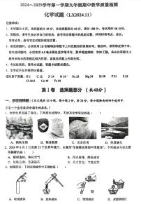 山东省济南市历下区2024-2025学年九年级上学期期中考试化学试题