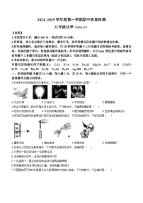 山东省济南市槐荫区2024-2025学年九年级上学期期中考试化学试卷(无答案)