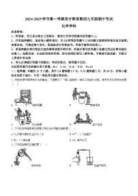 广东省深圳市南山区育才集团2024-2025学年九年级上学期期中考试化学试卷(无答案)