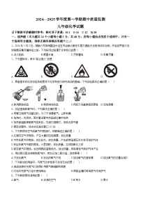 河北省保定市定州市2024-2025学年九年级上学期期中考试化学试卷