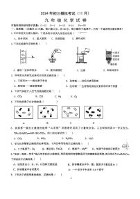 广东省东莞市虎门汇英学校2024-2025学年九年级上学期模拟考试（11月）化学试卷