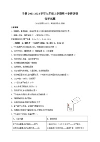 江苏省徐州市丰县2023-2024学年九年级上学期期中化学试卷（含答案解析）