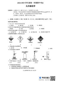 广东省韶关市翁源县2024-2025学年九年级上学期11月期中考试化学试题