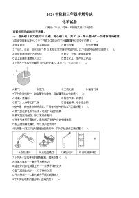 重庆市梁平区西大实中片区联考2024-2025学年九年级上学期11月期中化学试题